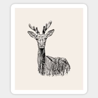 Red Deer Sticker